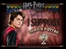 i support Harry potter.jpg