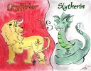Gryfindor_vs_Slytherin.jpg