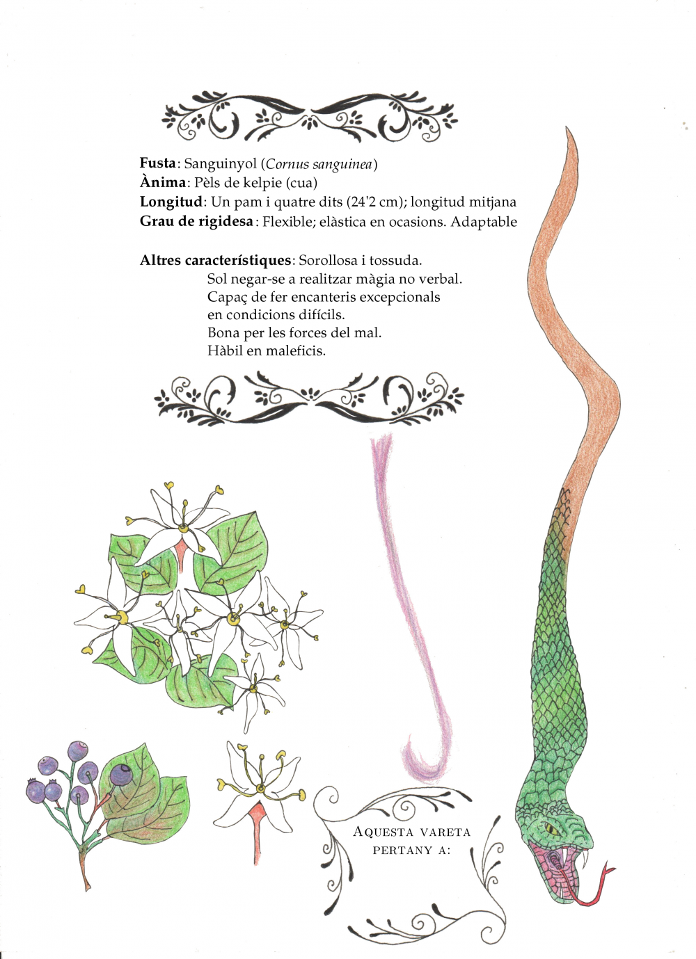 Disseny vareta cap de serp
Fusta: Sanguinyol (Cornus sanguinea)
nima: Pls de kelpie (cua)
Longitud: Un pam i quatre dits (24'2 cm); longitud mitjana
Grau de rigidesa/flexibilitat: Flexible; elstica en ocasions. Adaptable
Keywords: vareta serp kelpie
